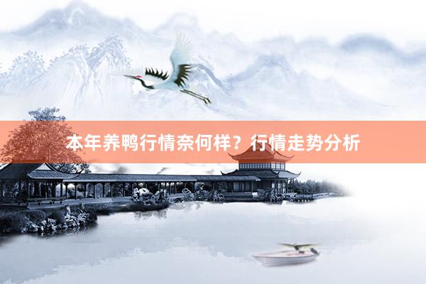 本年养鸭行情奈何样？行情走势分析